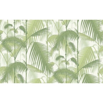 Palm Jungle 95/1001 