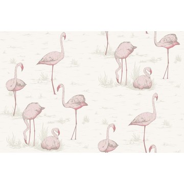 Flamingos 95/8045