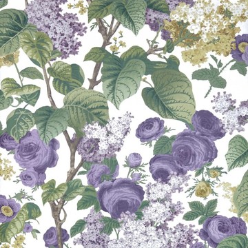 Floribunda Lavender Dream 2311-168-01