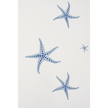 Starfish Blue on Parchment BG2200102