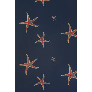 Starfish Navy and Sienna BG2200101