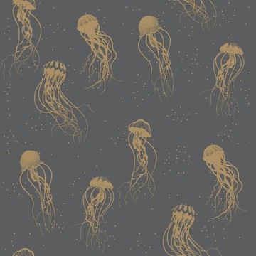 Jellyfish Dance MLG 10104 20 95