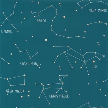 Constellations OUP 10191 60 03