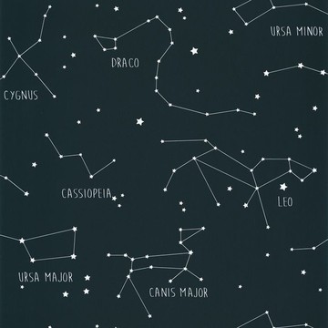 Constellations OUP 10191 69 18