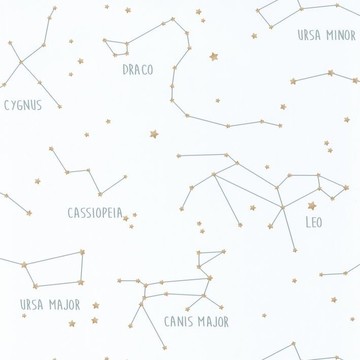 Constellations OUP 10191 71 25