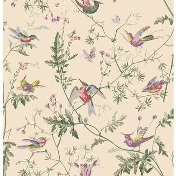 Hummingbirds 100/14071 - Classic Multi &amp; Old Olive