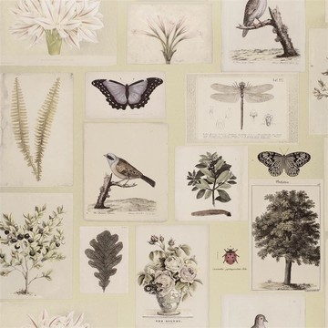 Flora and Fauna Canvas PJD6001/03