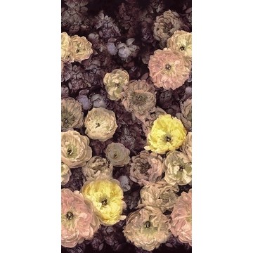 Le Poéme de Fleurs Rosewood PDG1107/01 (paneeli)