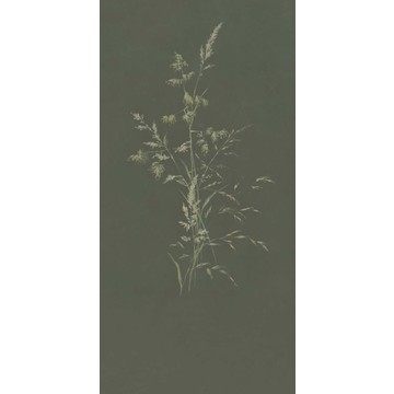 Aqua Twigs Dark Olive 300905 (paneeli)