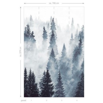 158909 Foggy Forest info