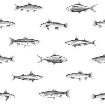Fishes 155-138 967
