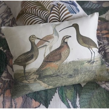 BIRDS LIVE