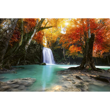 Deep Forest Waterfall MS-5-0083