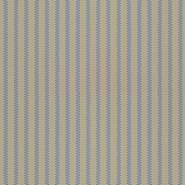 Stitched Stripe Washed Denim 29-44
