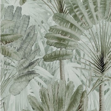 Travellers Palm Neutral