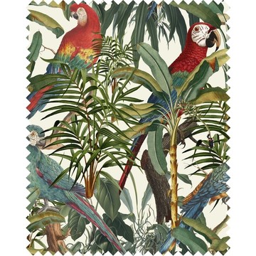Parrots of Brasil FB00008