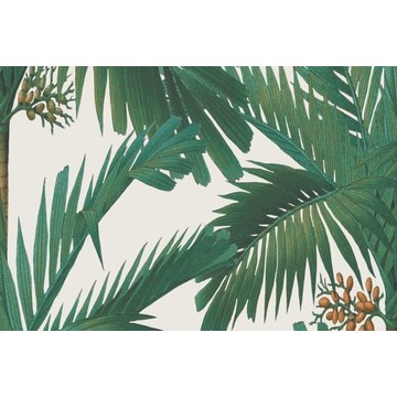 Palm Spring Pearl R17572