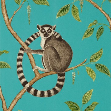Ringtailed Lemur Teal 216663