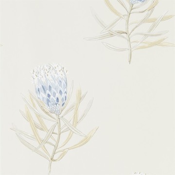 Protea Flower China Blue/Canvas 216327