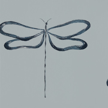 Dragonfly Liquorice 111932