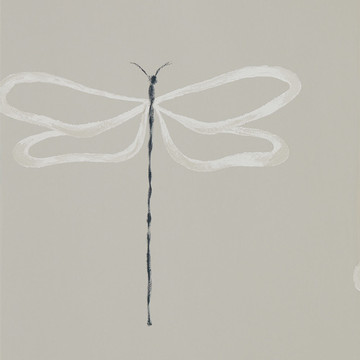 Dragonfly Parchment 111933