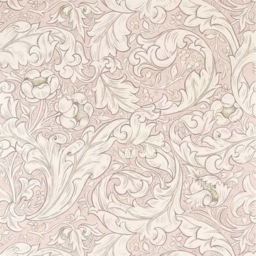 Pure Bachelors Button Faded Sea Pink 216553