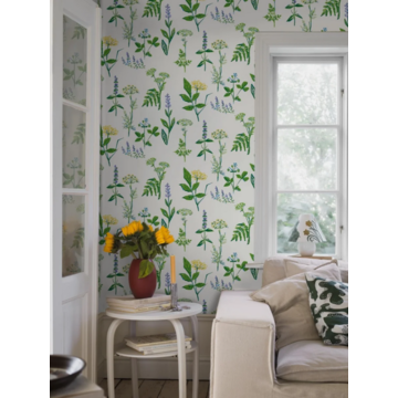 1789 koksvaxter_amb II