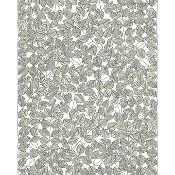 Viola Gråsten Romans 1769