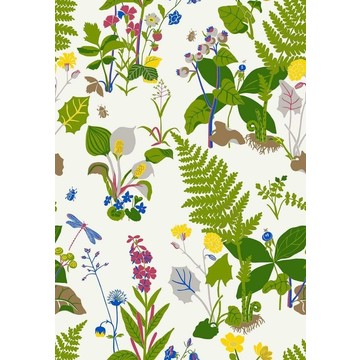 Gocken Jobs Trollslända 1788