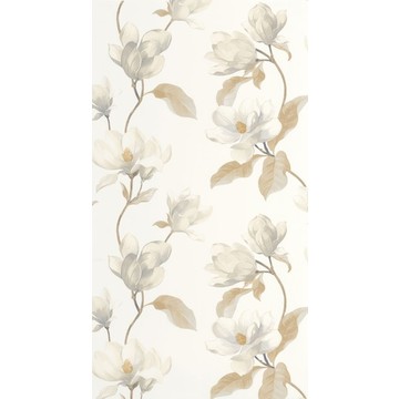 Brume de Magnolia BJAR 20254 11 11