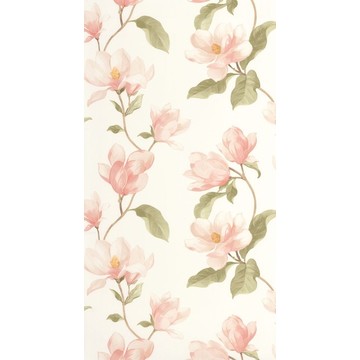 Brume de Magnolia BJAR 20254 41 01