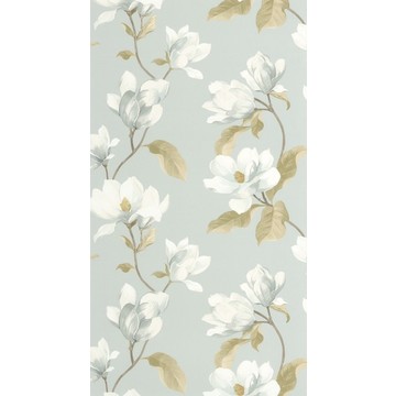 Brume de Magnolia BJAR 20254 62 62