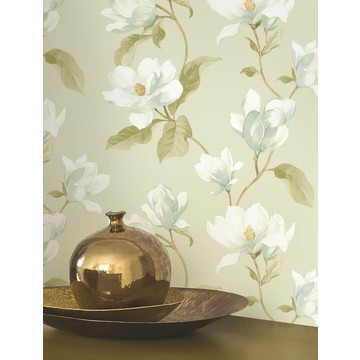 Brume De Magnolia BJAR 202547202_amb-2