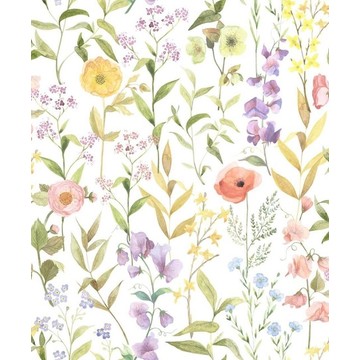 Fleurs Des Champs BJAR 8765 08 25