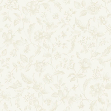 Pastelia BLS 10750 00 00