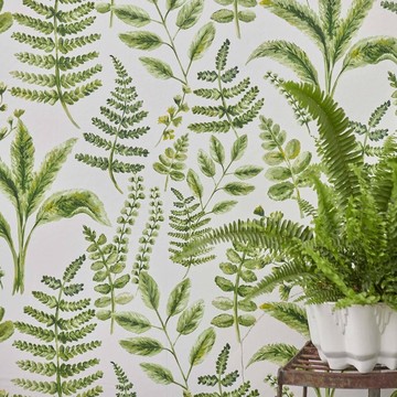 bracken W0156-02 room (2)