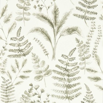 Bracken Natural W0156/03