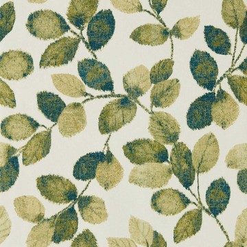 Northia Olive/Peacock W0159/03
