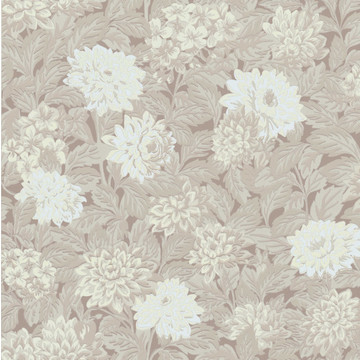 Dahlia 357-01