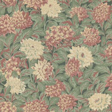 Dahlia 357-78