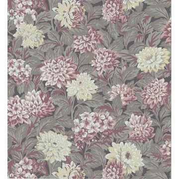 Dahlia 357-98