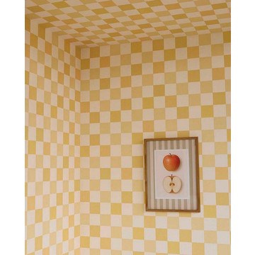 checkmate 363146-amb