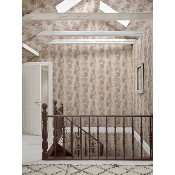 S10660 Carla-amb