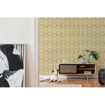 retro loop AS395361-0 room