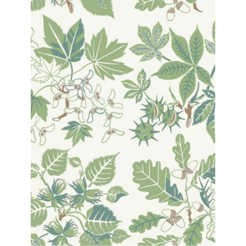 Arboretum 5832
