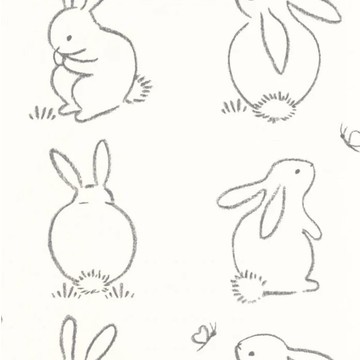 funny bunny 88389050