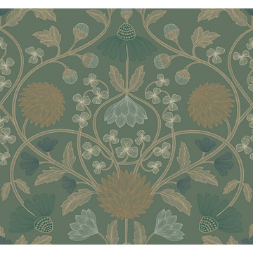 CASAMANCE_70450712 HIPPOLYTE