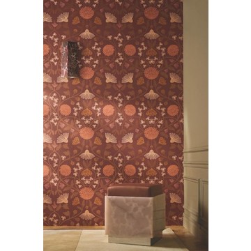 CASAMANCE_70450814 HIPPOLYTE amb