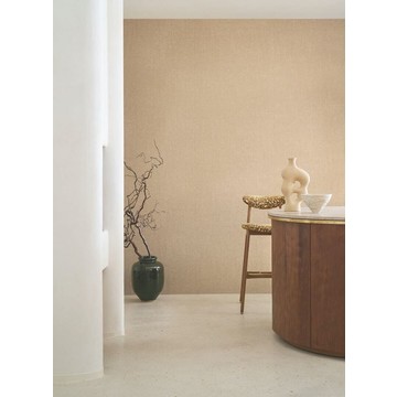 vannora 76921732 amb