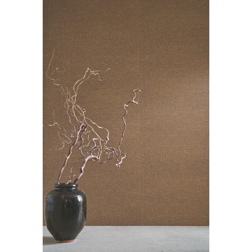 vannora  76922446 amb (2)